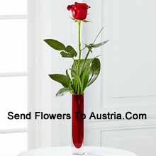 A Single Red Rose In A Red Test Tube Vase Delivered in Austria