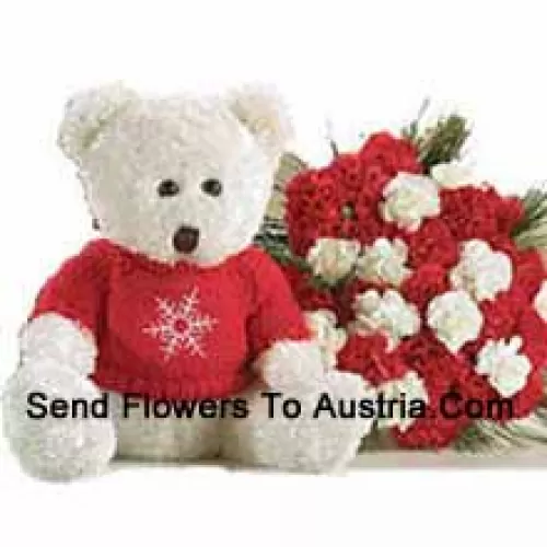 Bunch Of 25 Red And White Carnations With A Medium Sized Cute Teddy Bear