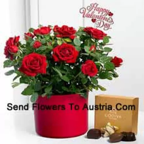 25 roses rouges avec des fougères dans un grand vase et une boîte de chocolats Godiva (Nous nous réservons le droit de substituer les chocolats Godiva par des chocolats de valeur égale en cas de non disponibilité des mêmes. Stock limité)